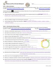 Kami Export - BOWDY YELLOTT - Mitosis, Cell Cycle & Cancer Student Handout.pdf