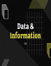 IT - Data & Information.pdf