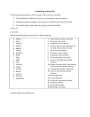 Terminology  Body Plan Worksheet (1).docx