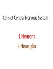 Neuroglia.pptx