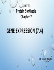 Gene Expression (7.4).pptx