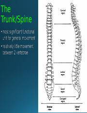 Spine Lecture+++.ppt