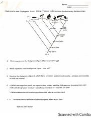 William George - Cladograms and Phylo Trees.pdf