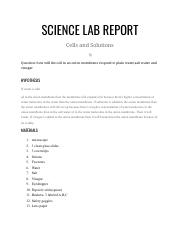 Science Lab Report.pdf