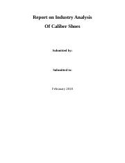 Caliber Shoes_Report.docx