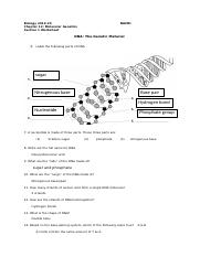 Ch 12 Section 1 Worksheet.docx