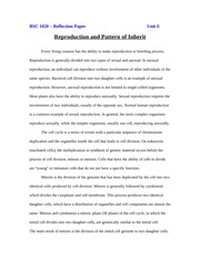 Reproduction and Pattern of Inherit Reflection Paper Unit E