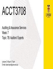 7B - Auditors Experts.pdf