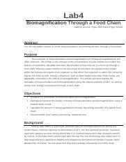 Biomag Food Chain.docx