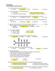 Biochem Exam UPDATED PRACTICE answers.docx