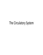 Topic_5_slides_-_circulatory_system.pdf