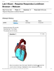 Lab 3 Exam - Requires Respondus LockDown Browser + Webcam_ Essential Human Anatomy & Physiology II w