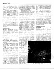 中国大百科全书09_287.pdf