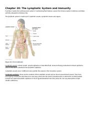 Chapter 20-Lymphatic and Immuntity.docx