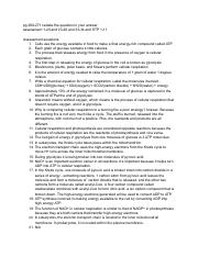Jeremy Karkafi - Ch 9 STP & End of Ch Assessment - Google Docs.pdf