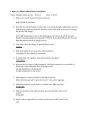 Photosynthesis Review Worksheet.docx
