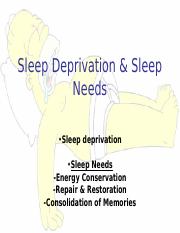 Lec 2 - Sleep Deprivation  Sleep Needs.ppt