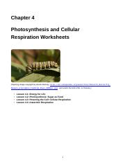 Biology Worksheets.doc