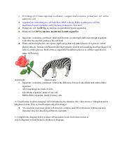 Amoeba Sisters_ Classification Worksheet-2.pdf