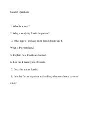 Guided Questions.docx