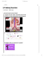 L11 kidney function.pdf