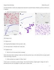 Lab 2 - Simple Stain Analysis.docx