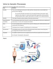 6a Intro to Genetic Processes.docx