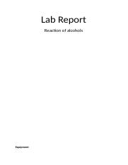 Lab Report.docx
