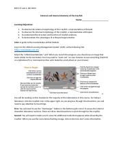 Crayfish 2020 activity.docx