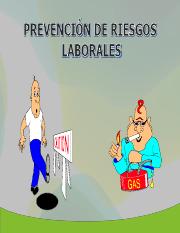 prevencion_riesgos.pdf