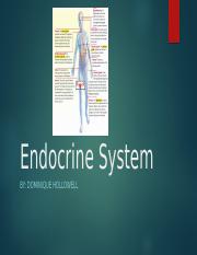 Endocrine System presentation 1