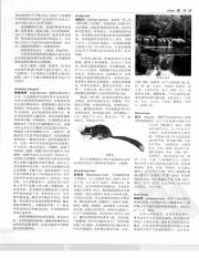 中国大百科全书21_28.pdf