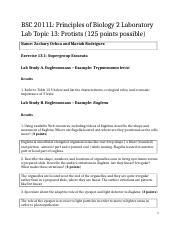 bsc2011l_topic13_lab_report_template(1).docx