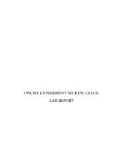 Online experement lab report.docx