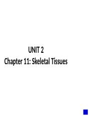 chapter 11.ppt