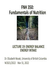 Lecture 19 Energy Balance 1.pdf