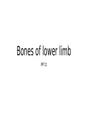 12. Bones of lower limb.pptx