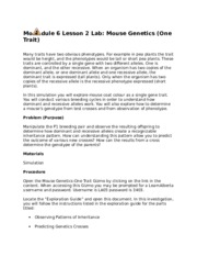 Module 6 Lesson 2 Lab