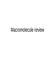 2.17 Macromolecule review.ppt