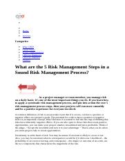 Sound Risk Management Process.docx