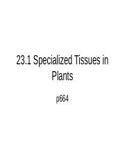 23.1Specialized Plant Tissue.ppt