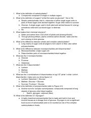 Ch. 4 Study Guide.pdf