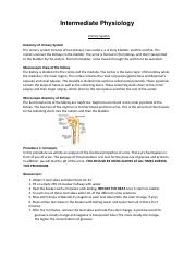 Lab 7 - Urinary System Protocol.pdf