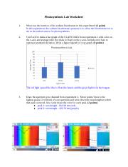 Photosynthesis lab worksheet-3.docx
