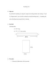 Buckling Test - Google Docs.pdf