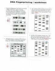 DNA Fingerprinting (1).pdf