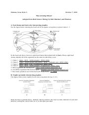 Salutan_Activity3.1 (2).pdf