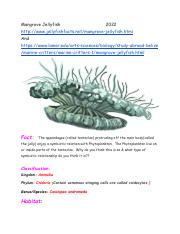 Copy of Mangrove Jellyfish.pdf