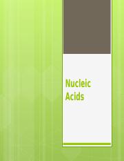 Nucleic Acids (lesson 4).pptx