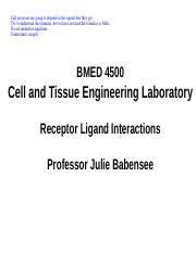 4. Receptor Ligand Interactions.pdf